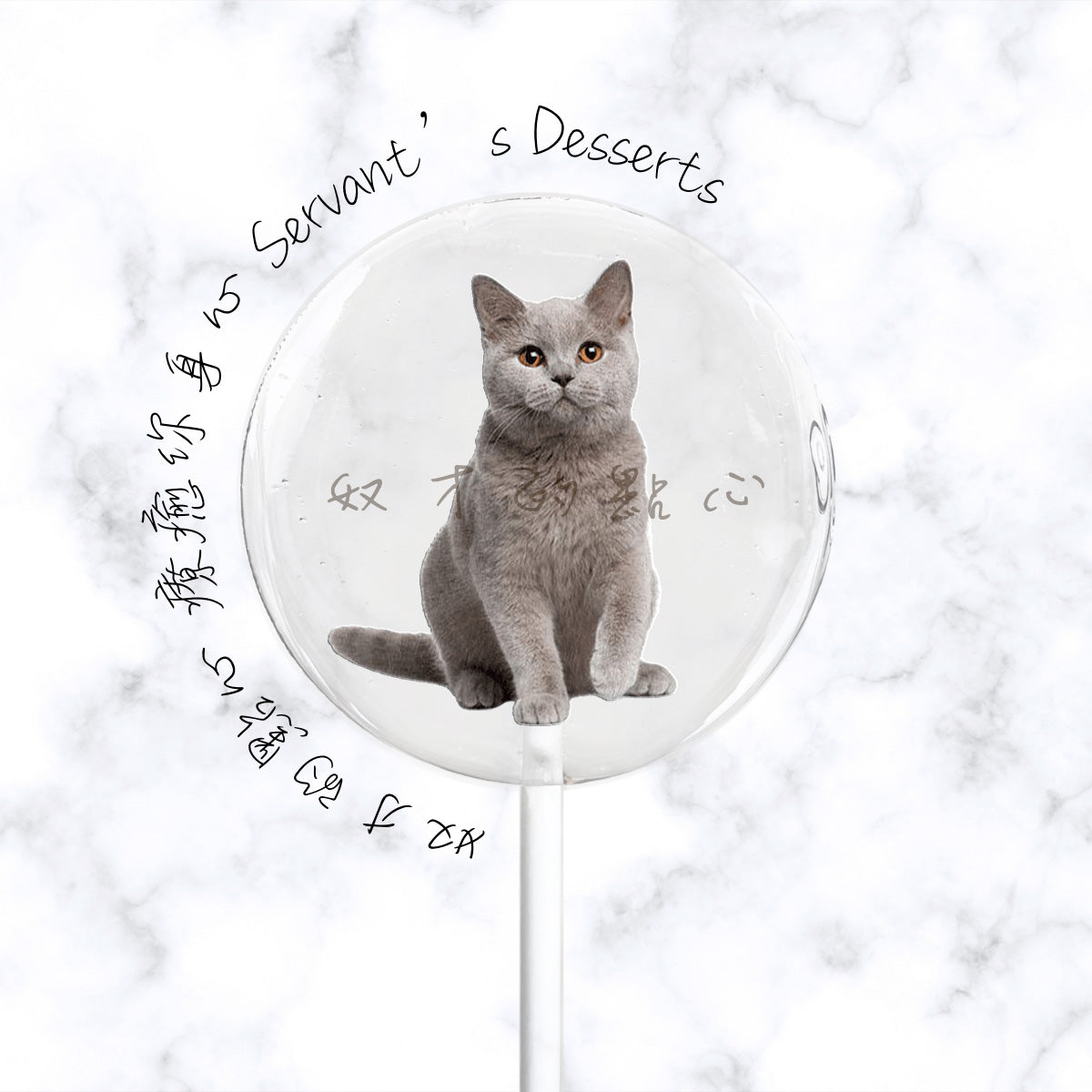療癒貓咪系列Cat