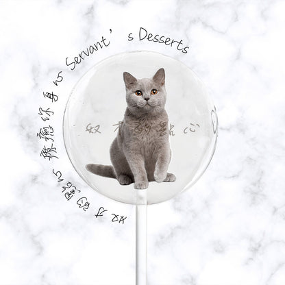 療癒貓咪系列Cat