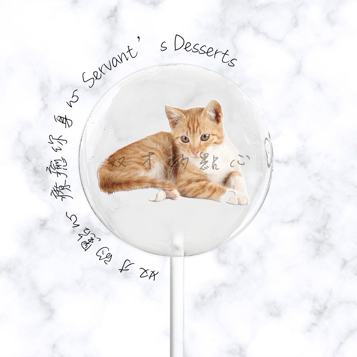 療癒貓咪系列Cat