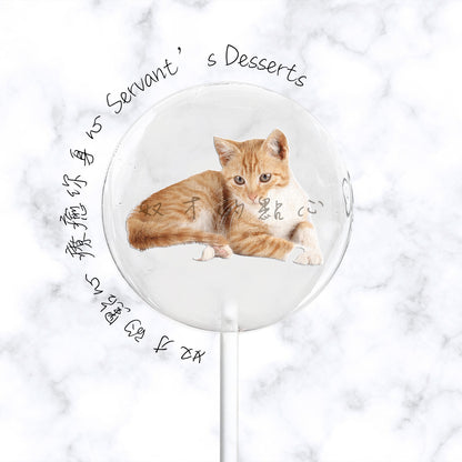 療癒貓咪系列Cat