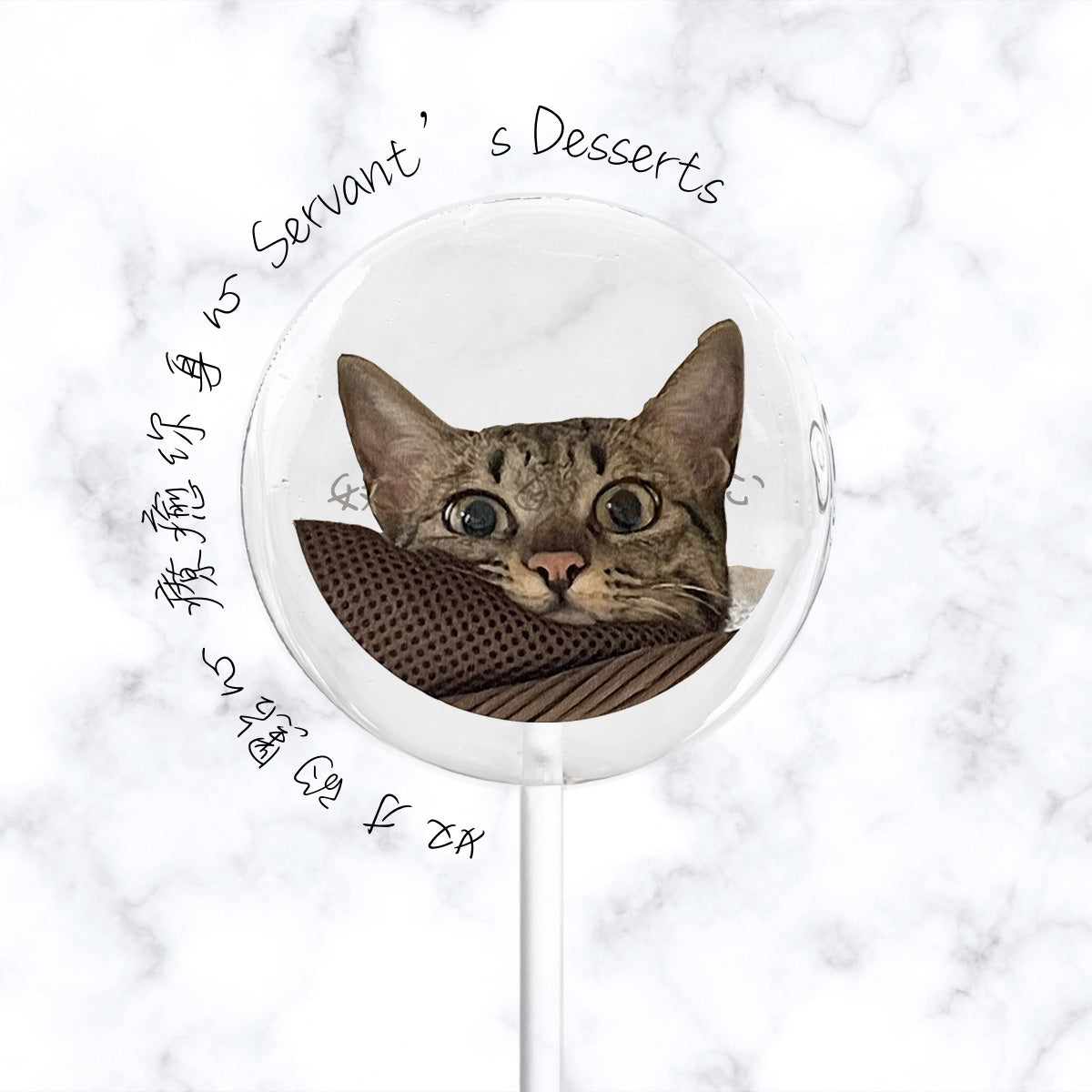 療癒貓咪系列Cat