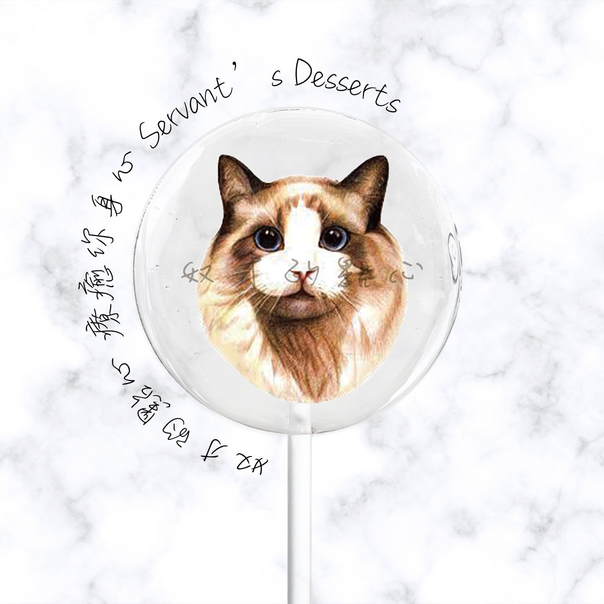 療癒貓咪系列Cat