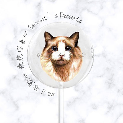 療癒貓咪系列Cat