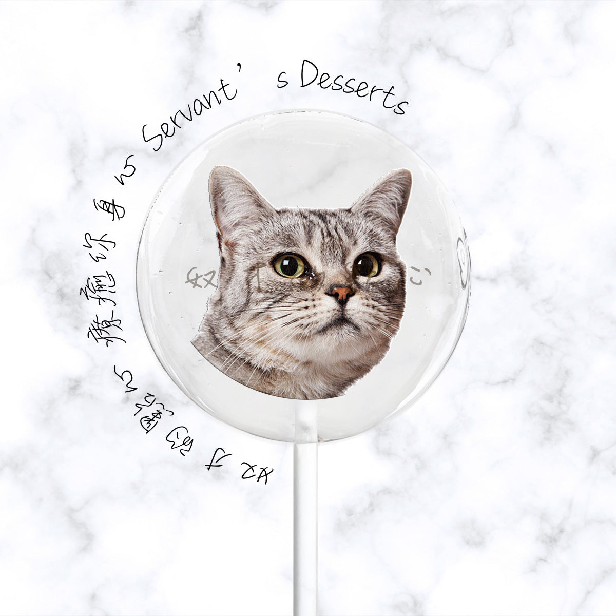 療癒貓咪系列Cat
