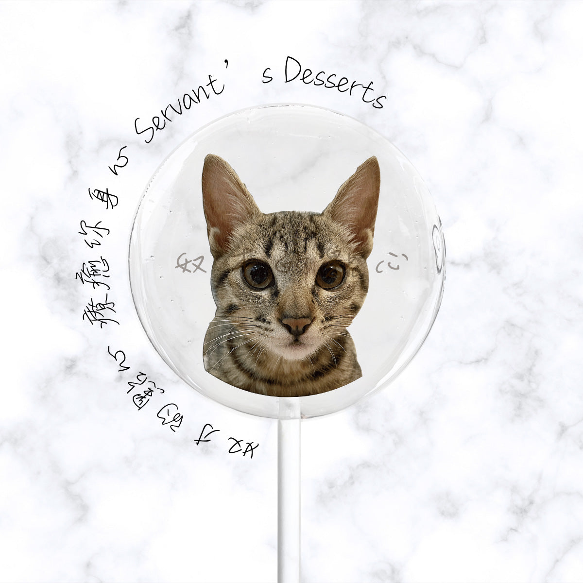 療癒貓咪系列Cat