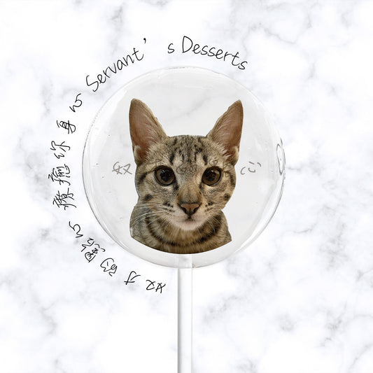 療癒貓咪系列Cat