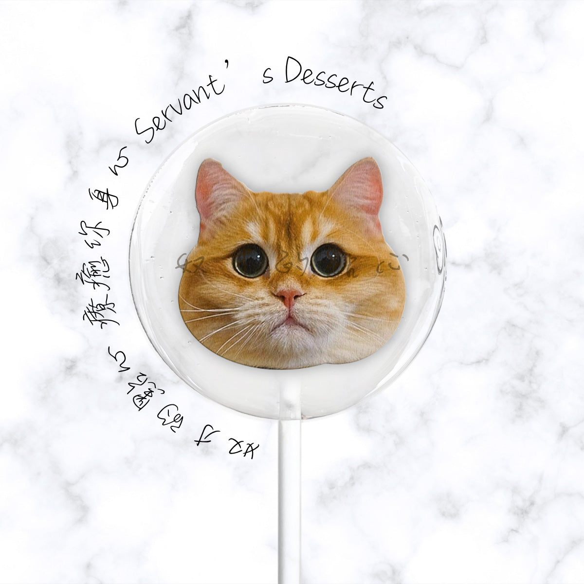 療癒貓咪系列Cat