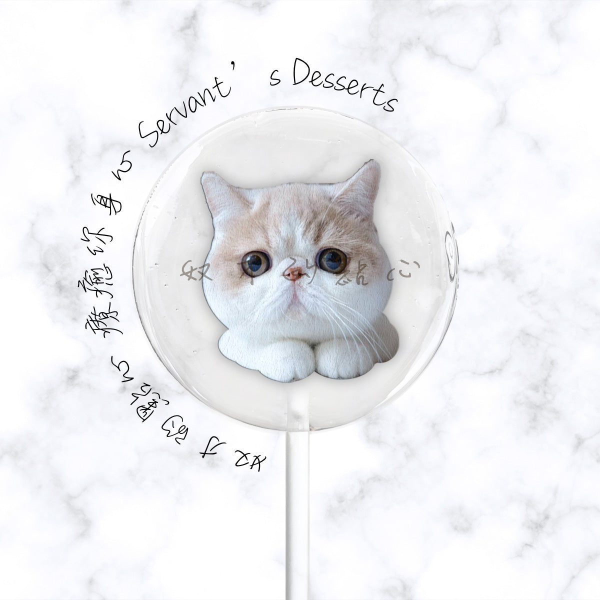 療癒貓咪系列Cat