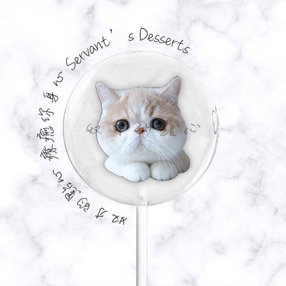 療癒貓咪系列Cat