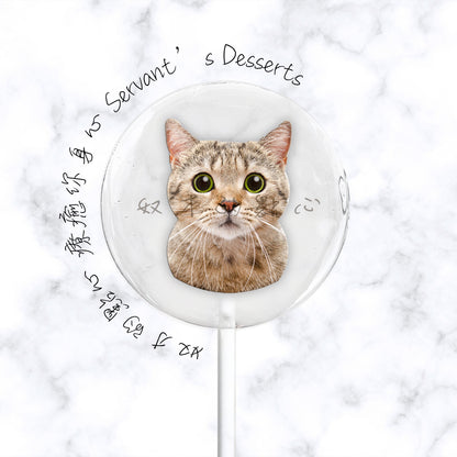 療癒貓咪系列Cat