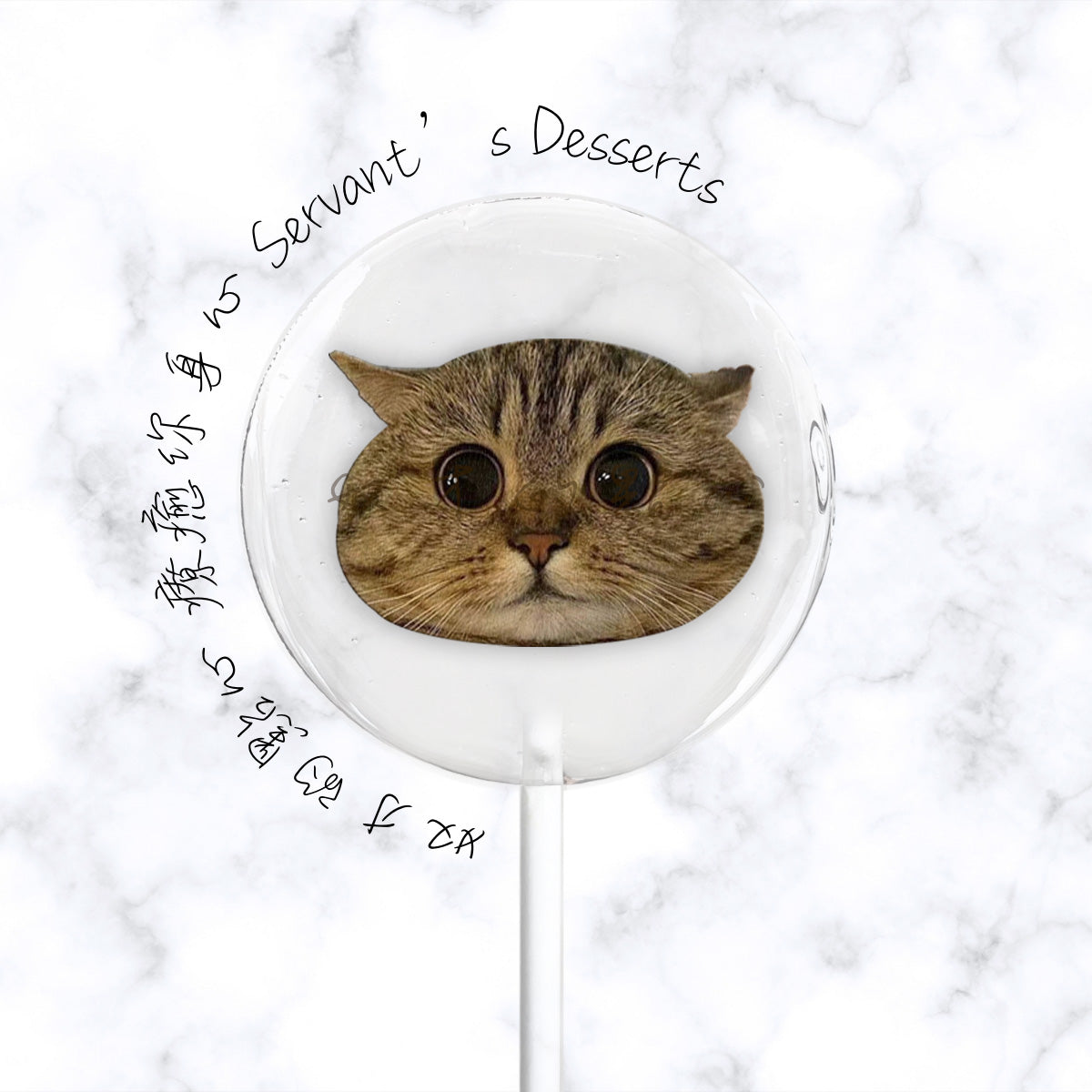 療癒貓咪系列Cat