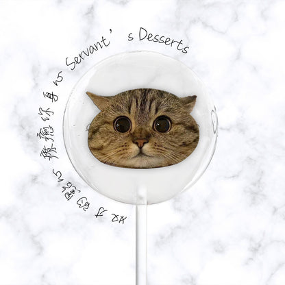 療癒貓咪系列Cat