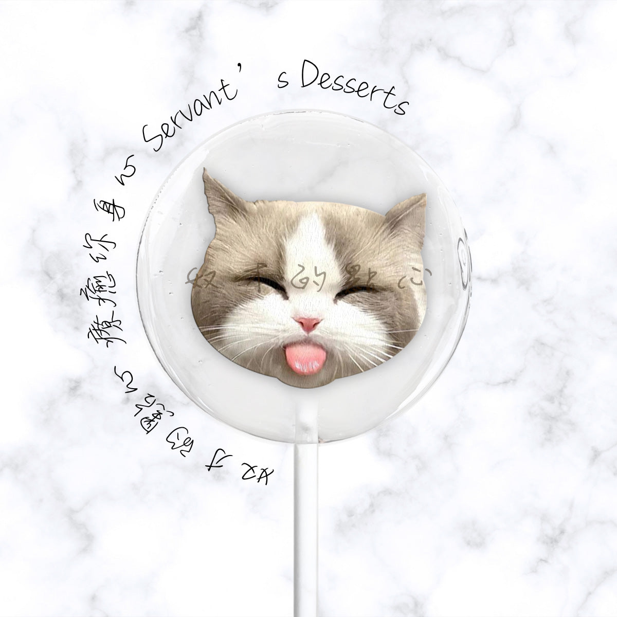 療癒貓咪系列Cat