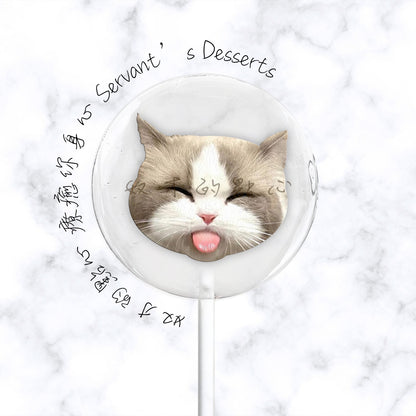 療癒貓咪系列Cat