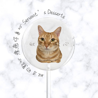 療癒貓咪系列Cat