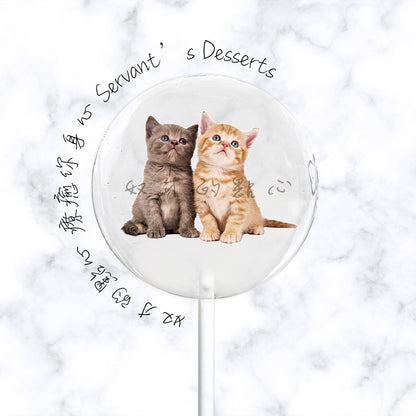 療癒貓咪系列Cat