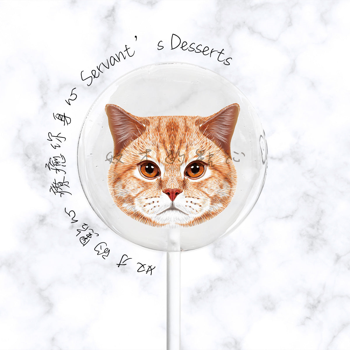 療癒貓咪系列Cat