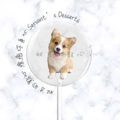 可愛狗狗系列dog