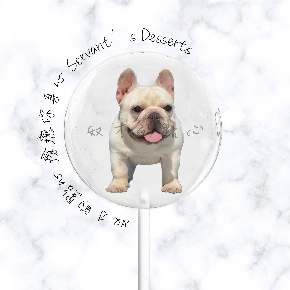 可愛狗狗系列dog