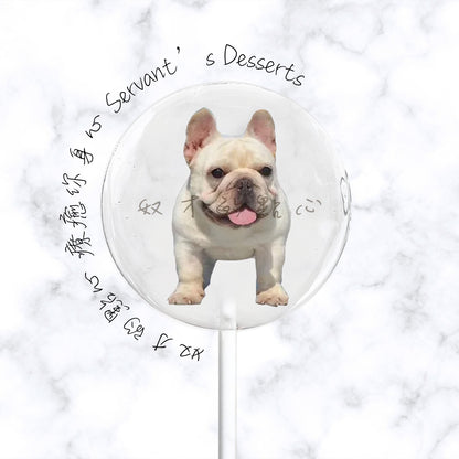 可愛狗狗系列dog