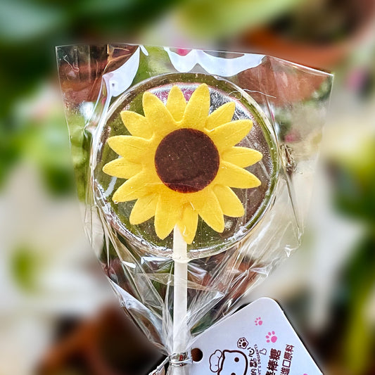 植物系列-向日葵Sunflower